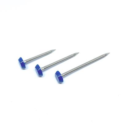 China 40mm SUS316 Ring Shank Plastic Cap Nails para a fáscia e o intradorso de fixação à venda