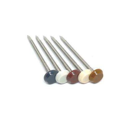 China 50MM 65MM Nylon PA6 Plastic Headed Nails For Profile for sale