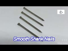 30 x 1.6mm smooth shank nails