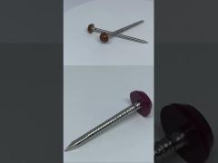 Construction Stainless Steel Plastic Head Nails / Pins SUS316 Poly Top Pins 30mm