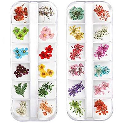 China Amazon Hot Selling Nail Decoration Nail Dried Flowers, 3d Nail Art Sticker For Tips Manicure Decor Mixed Accessories, Starry Leaves Flower, TOYS0155 for sale