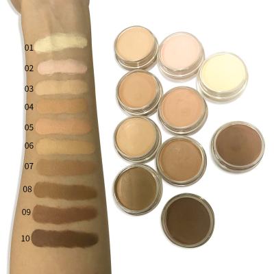 China New 10 Color Private Label Mineral Concealer Pen Face Makeup Cosmetics Whitening Cream Contour Palette Concealer Pen for sale