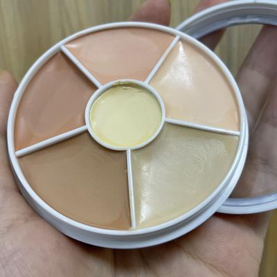 China Professional Private Label Antibacterial and Anti-inflammatory 6 Colors Full Coverage Contour Face Cream Makeup Concealer Pencil Cosmetic Palette for sale