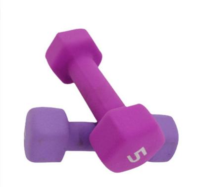 China 2PCS PACKED IN A BOX Neoprene Dumbbell Fitness Equipment Dumbbell Sets for sale