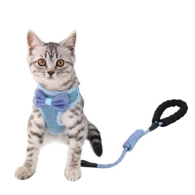 China 2021 Viable Wholesale High Quality Cute Blue Soft Natural Polyester Cat Pet Leash for sale