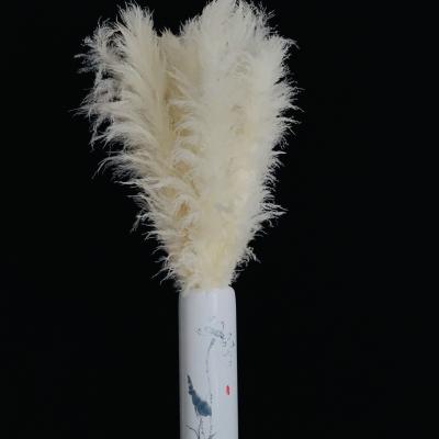 China Wholesale Price Rush Store Wedding Party Decorative Flower Home Decor Large Dried Natural Pampas Grass for sale