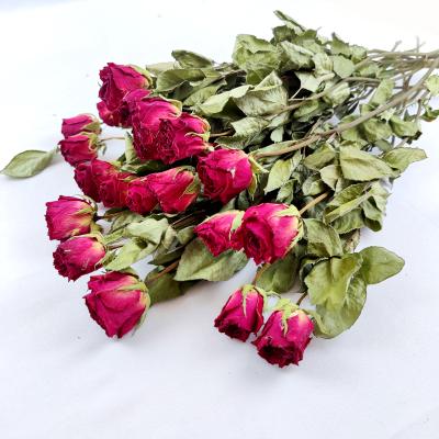 China Wholesale Natural Dyed DIY Roses Luxury Decorative Flower Yunnan Stem Single Roses Flowers Beautiful Pink Material Champagne Red Dried Rose for sale