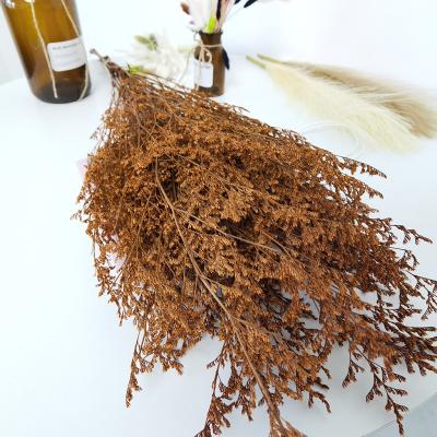 China Fresh Preserved Flower Decorative Lasting Statice Crystal Grass Limonium Grass Natural Preserved Lasting Valentine's Flower for sale