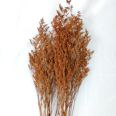 China Fashional Gift Wedding Decor Dried Flower Preserved Terracotta Caspia Cluster Preserved Caspia Limonium Grass For Diy Dried Flower Arrangement for sale