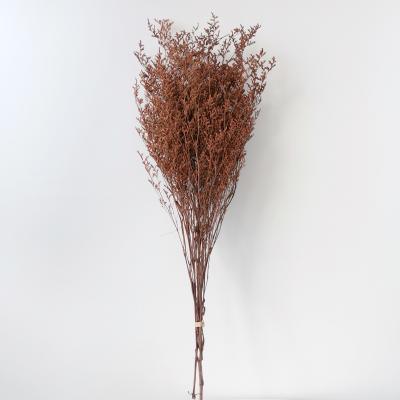 China Home Decotation Factory Hot Sale Preserved Decorative Flowers Valentine Grass Limonium Flower For Home Decoration for sale