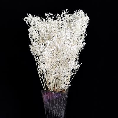 China 2021 Amazon popular supply preserved babysbreath factory popular wedding preserved flowers baby's breath preserved durable gypsophila for sale