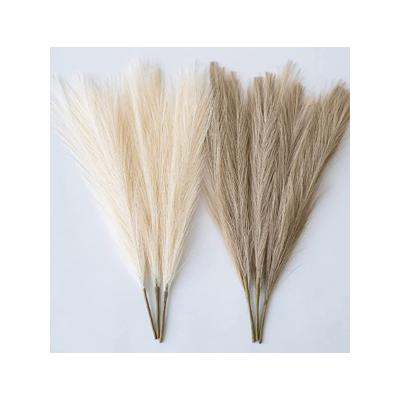 China Fashional Gift Amazon Hit Faux Pampas Grass Decor Artificial Pampas Grass For Wedding Decoration. for sale