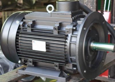 China Volledige de Compressormotor van de functie380v 50Hz Lucht Te koop