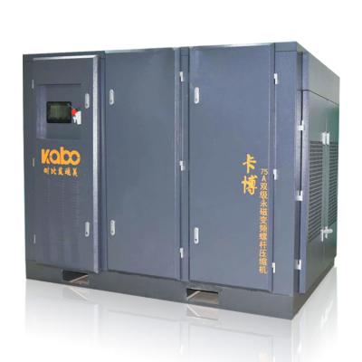 China Efficiënte Kp160kw-0.8mpa 380V/220V/415V en Energie - de Luchtcompressor van het besparings Dubbele Stadium Te koop