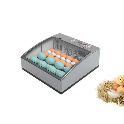 China Mini Multifunctional Parrot Egg Incubator Parrots Macaw Incubator For Sale for sale