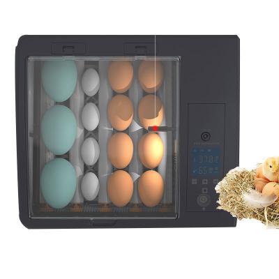 China USA Education Multifunctional Tools Automatic School Egg Incubator Gift Incubators for sale