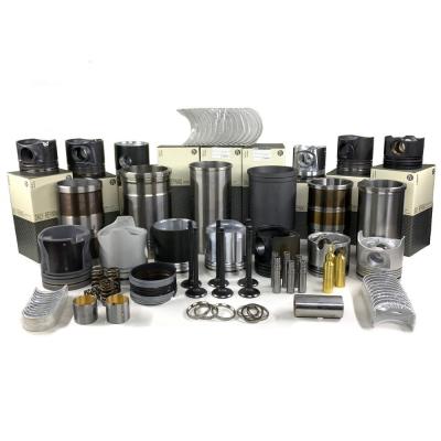 China Platinum Overhaul Kit C1.1 C1.5 C1.6 C1.8 C2.2 C9 C15 C13 Caterpillar Rebuild Kits for sale