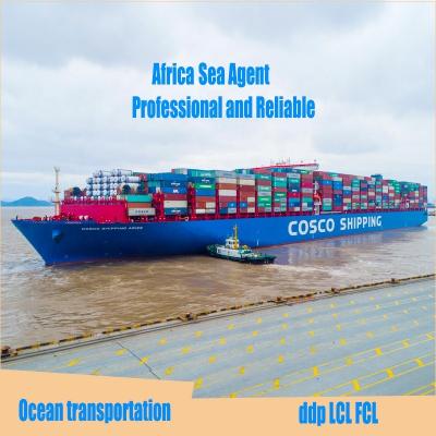 China 300days free door to door services freight forwarder sea dhl international agent shipping from china to ghana for sale