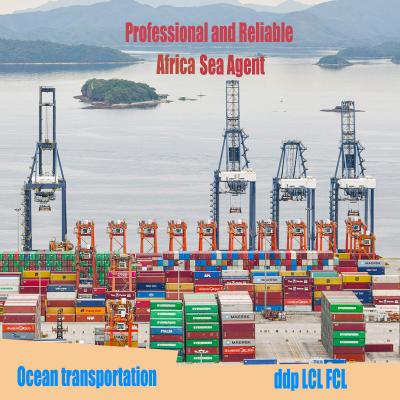 China 300days free low price freight forwarder china ddp sea freight ship shipping agent from china to nigeria angola,zimbabwe for sale