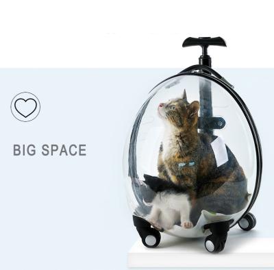 China Amazon Hot Seller Dogs and Cats Pet Carrier Rolls Transparent Pet Carrier Rolls Pet Trolley Carrier Box for sale