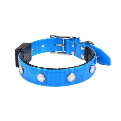 China Viable Custom Wholesale Logo Super Strong TPU Strap Dog Collar for sale