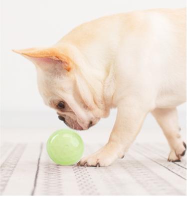 China Viable Glowing Material Pet Bite Ball TPR Pet Chew Toys Dog Bouncy Ball for sale