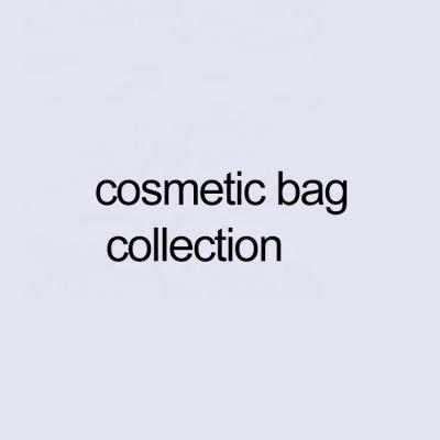 China Fashion fashion bag and cosmetic case collection for sale