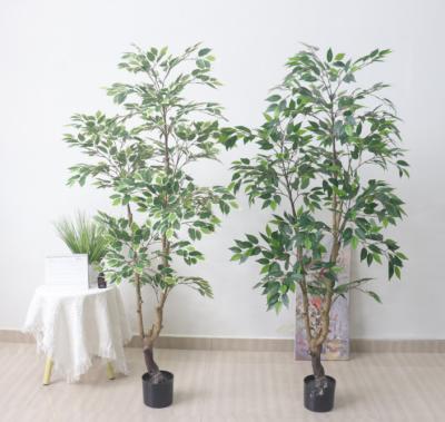 Cina Bonsai Fake Branch Banyan Microcarpa Green Leaf Plastic Artificial Ficus Tree Outdoor in vendita