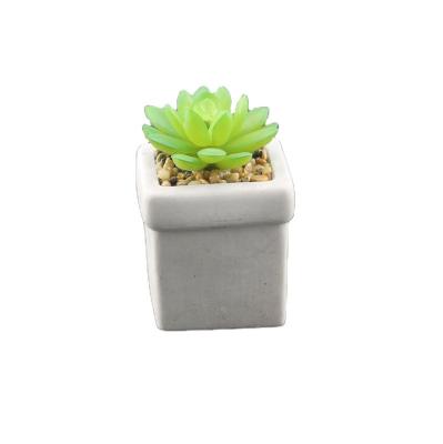 China Wedding Unique Decorative Cuboid Flower Pot Cement Pot With Tiny Artificial Suculent Plant for sale