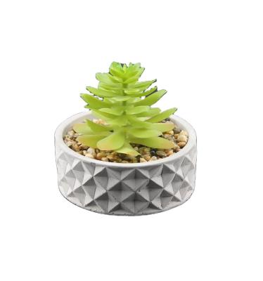 China Coastal Concave-convex Cylinder Low Cylinder Artificial Succulent Plants Cement Pot for sale