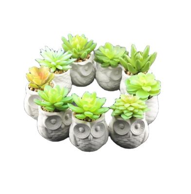 China Wedding Wholesale Owl Shape Concrete Plants Succulent Pots for sale