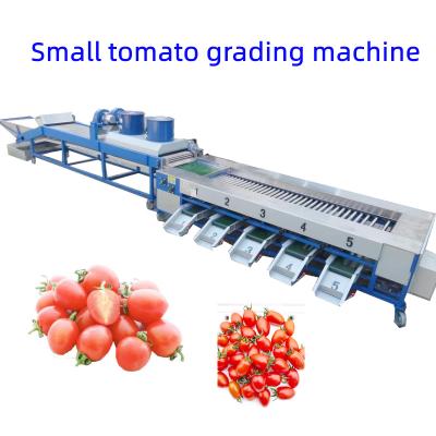 China Fruit Processing Plant Multifunctional Fruit And Vegetable Grading Machine For Citrus Washing Waxing Automatic Orange Drying Processing Line 3t/h for sale