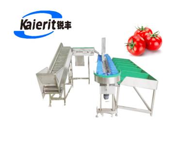 China Fruit processing plant weight evaluation of processed potatoes and sweet potatoes, the weight sorter for applesoranges cleaning pears and fruits for sale