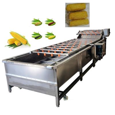 China food & Beverage Factory Corn Fresh Bubble Cleaning Machine, Cooking Machine, Weight Sorter Grading Machine for sale