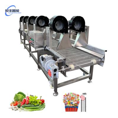 China food & Beverage Factory Air Drying Washing Drying Polish Sorting Processing Line Fruit Air Vegetable Blow MachineFruit MachineWash And Blow Dry for sale