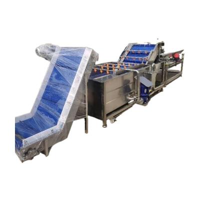 China Custom Farms Weighing And Grading Machine For Fruit Processing Line Cleaning , Drying And In Factory for sale