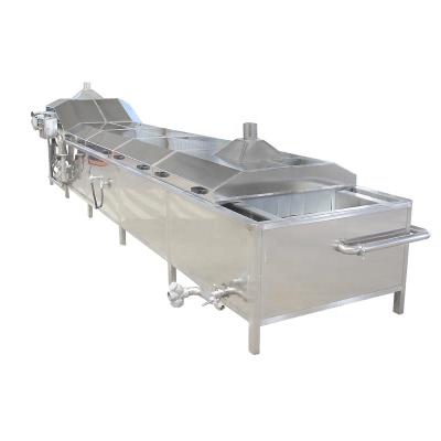 China food & Beverage plant suitable for washed blanching and cut vegetable products blanching machine, to process cut vegetable products, blanchen for sale