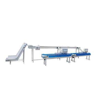 China Vegetable Processing Plant Manufacturers Custom Seafood Weight Sorter. Grader score indicates gram weight sorter has high precisionSquid, Spanish mackerel for sale