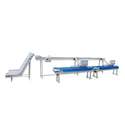 China Vegetable Processing Plant Manufacturer Supply Squid Sea Cucumber Mackerel Weight Grader for sale