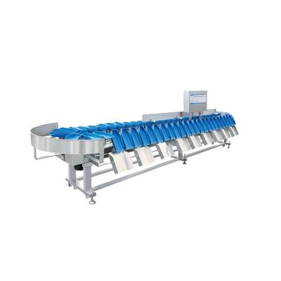 China Vegetable Processing Plant Manufacturer Promotions Fruit Sorting Machine Grinder Sea Cucumber Weight Grader 2022 for sale