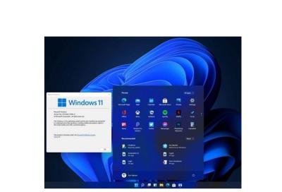 China Home Windows 10 Pro Oem Pack 10 DVD Box Online Activation for sale