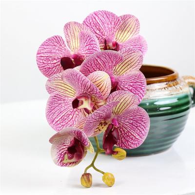 China Latex Phalaenopsis Orchid 9 Heads Artificial Butterfly Orchid, Real Touch Orchid for sale