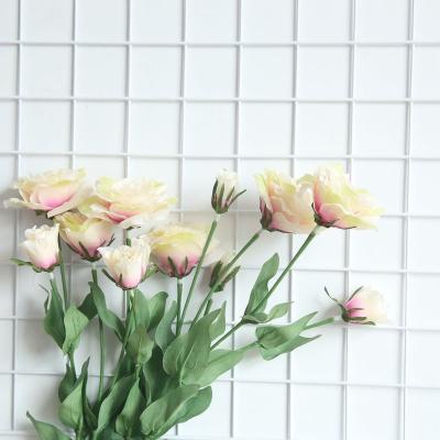 China Indoor Decor QSLHC700 Hot Selling Artificial Lisianthus Single Stem 4 Heads For Home Decoration for sale