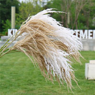 China Wedding Christmas hot sale cortaderia decoracion artificial pampas grass for sale