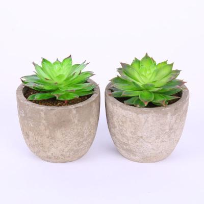 China JQSLH164 Wedding Home Decor Nordic Pots Plastic Plants Succulents for sale