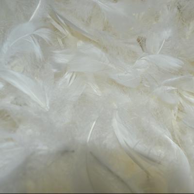 China Bedding Sets Sofa Cushion Loose Goose Feather Filler Goose Down Filler Washed for sale