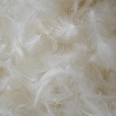 China Cushion pillow low price washed white duck feather 2-4cm for pillow cushion for sale