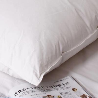 China Indoor Home Cushion Duck Down Filling Pillow Anti-Static Square Pillow Decor Insert For Sofa for sale