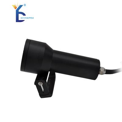 China Lamp Group Waterproof Scuba Tank Camping HID Diving Lamp for sale