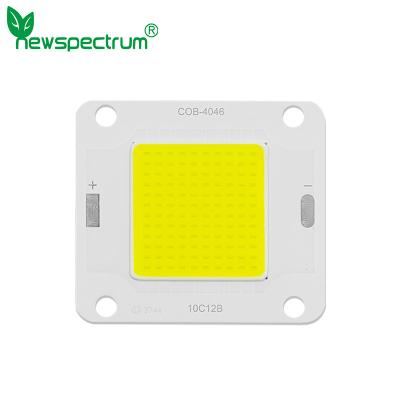 China 6000k DC COB LED Module High Luminance 20W 6000k Full Spectrum for sale